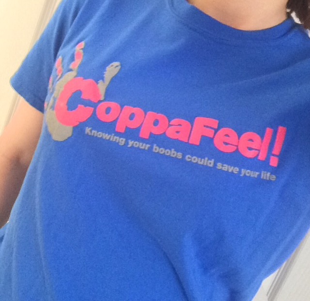 Update: Fabulous Challenges Charity Trek in Aid of CoppaFeel!