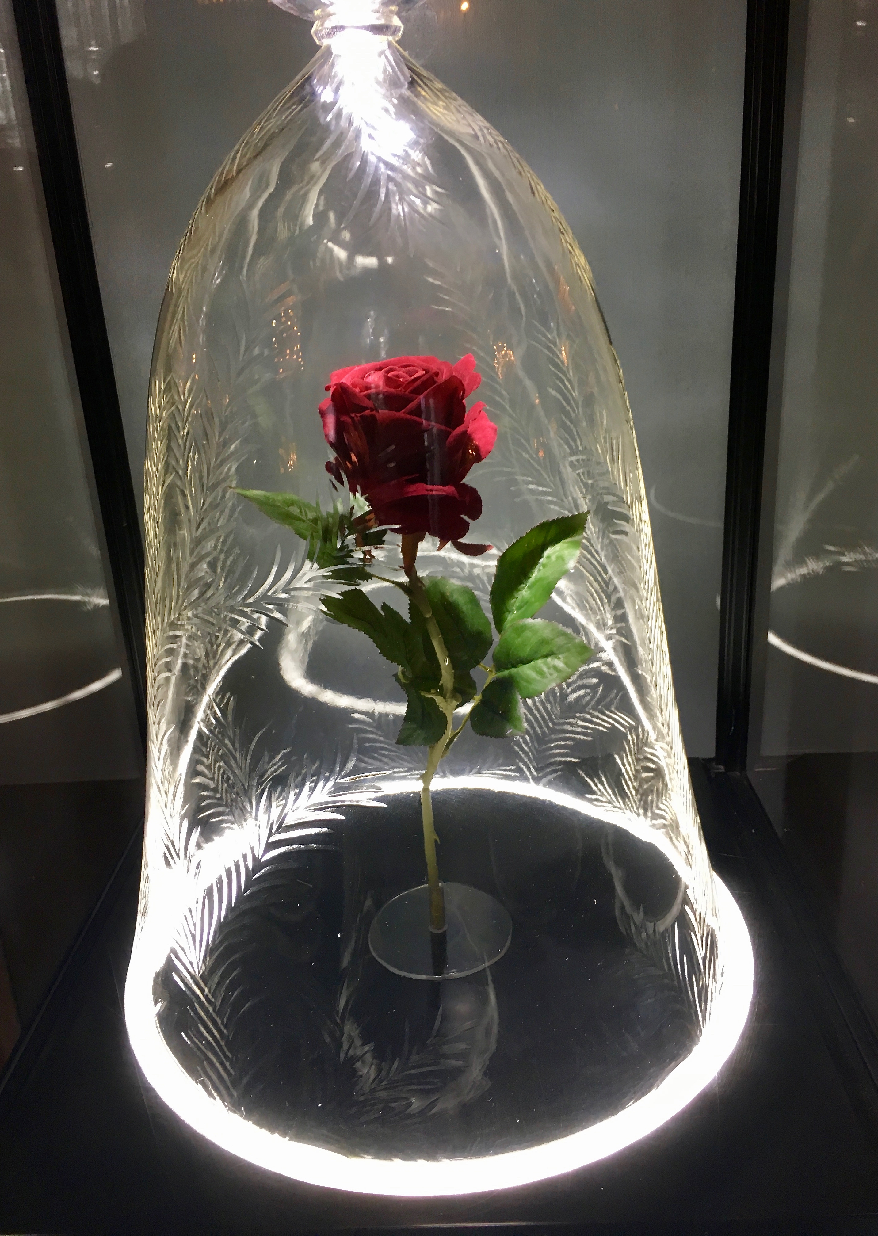 Beauty and The Beast The Enchanted Rose