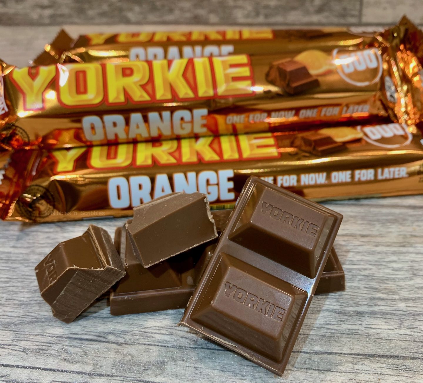Limited Edition Yorkie Orange